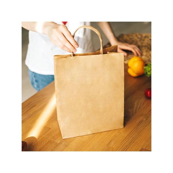 Eco Friendly Brown Paper Gift Bag With Self Adhesive Closure