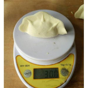 small dumpling machine, automatic dumpling machine, chinese jiaozi machine