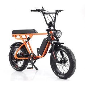 Outdoor Adventure 20*4.0 Kenda Fat Tire Double Disc Brake Mountain Bike For