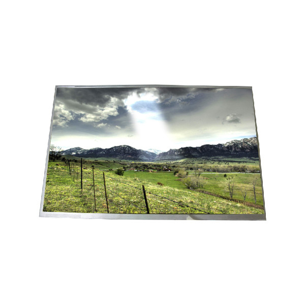 Buy 15.4 inch 1280*800 B154EW04 V1 lcd screen display at wholesale prices