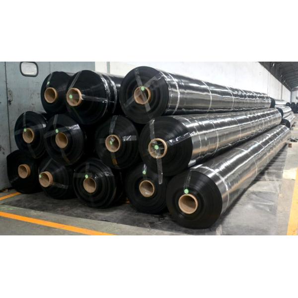 Plastic Grass Gravel Paver Grid for Car Parking