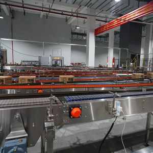 Wide Side Mechanical Stretch No Pallet Wrapping Wrap Around Case Packer Carton