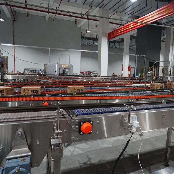 Wide Side Mechanical Stretch No Pallet Wrapping Wrap Around Case Packer Carton