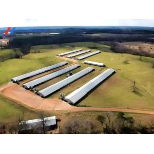Commercial Poultry House Steel Structure with Feeding and Drinking Systems