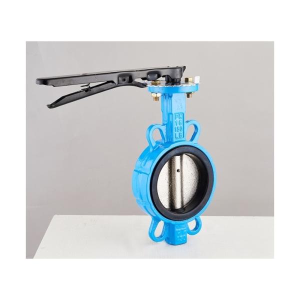 Buy Replaceable Rubber Liner Double Shaft Wafer Type Butterfly Valve for Water Media at wholesale prices