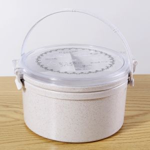 Childrens Recycled Plastic Lunch Boxes With Handle Spoon Fork