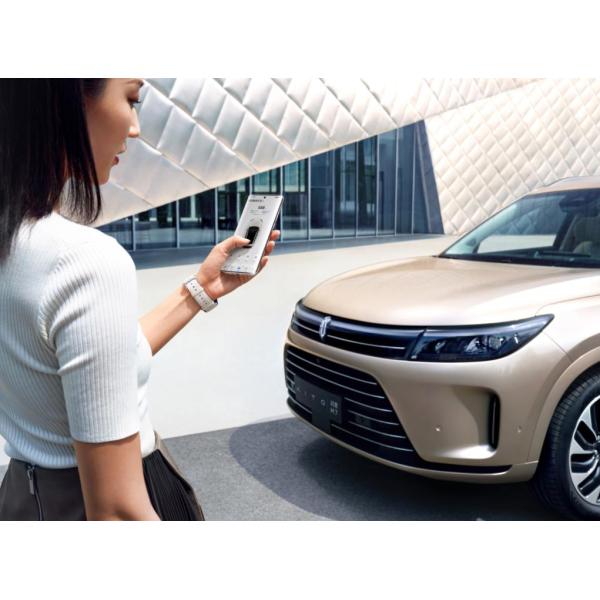 Battery Type Ternary Lithium Battery 5020*1945*1775mm AITO M7 Energy Vehicles 4 Wheel AITO M7 Electric Car for Adults in 2023