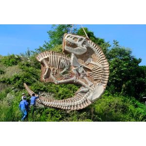 Realistic Complete Dinosaur Fossil , Simulation Full Dinosaur Skeleton