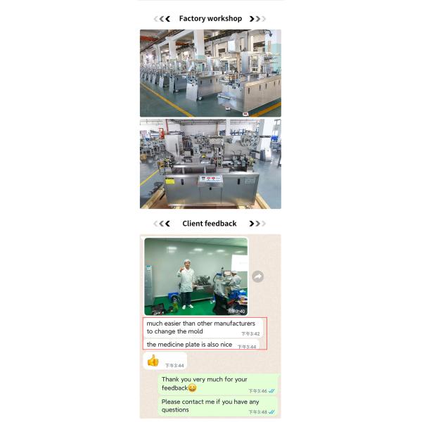 2300 Plates / H Blister Packing Machine DPP-90 80 Tablet Capsule Pill
