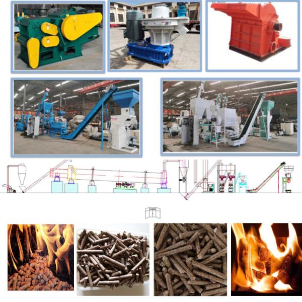 Buy 10TPH Biomass Pellet Production Line Eucalyptus Pine Birch Wood Chip Pellet Machine at wholesale prices