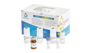 Quality Human Seminal Fructose Test Kit / Fructose Assay Kit Enzymatic Method Test CE Approved for sale