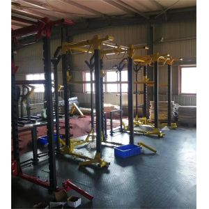 Commercial Multi-Function Station Pin Load Selection Machines with Rack for