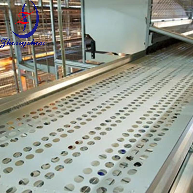Zhongshen PP Perforated Egg Belts in Chicken Farming House