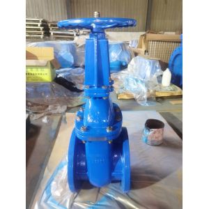 Quality ODM Cast Iron Floating DN150 Gate Valve for Waterline for sale