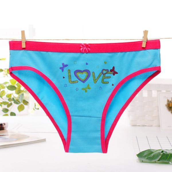 Low end market Chinese blue rose women's underwear