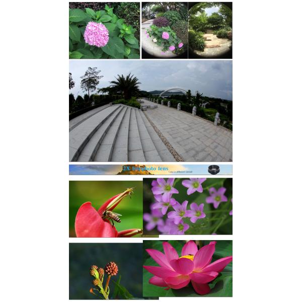 4 in 1 Mobile Phone Camera Lens Macro 0.63x Wide Angle Kit With Clip