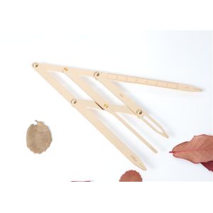 Professional Tattoo Accessories , 4 Prong Stainless Steel Golden Mean Caliper