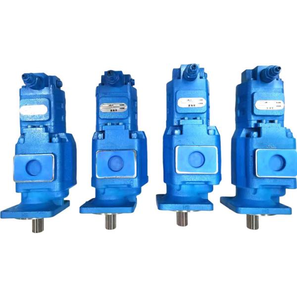 Hydraulic Gear Pump 803013093 For Wheel Loader Zl50gn