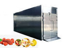 Professional Hot Air Fruit And Vegetable Sterilizing Machine Strong Versatility