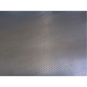 Filtration Drilling Perforated Metal Stainless Steel Screen Sheets/Plates 304