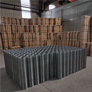 1.8m X 50m X 1/2" Galvanized Welded Wire Mesh Rolls Hot Dipped 0.68mm