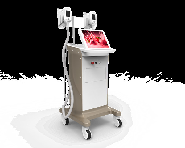 10L Water Tank + booster pump + 2 Filters Cryolipolysis Lipolysis Machine