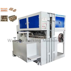 China Automatic Paper Egg Tray Making Machine With Water Pool And Pulp Pool on sale China Automatic Paper Egg Tray Making Machine With Water Pool And Pulp Pool on sale
