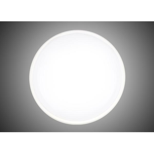 Modern LED Bulkhead Ceiling Lights For Bathroom / Outdoor 80lm / W RA80