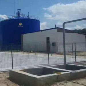 Expanded Granular Sludge Bed EGSB Wastewater Treatment Commercial Biogas Plant