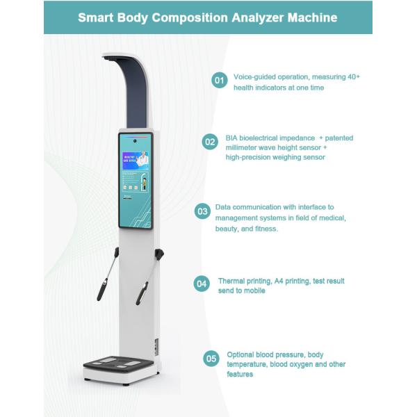 Professional Body Composition Analyzer Body Fat Analyzer Machine