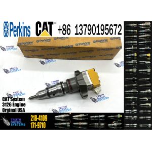 Common Rail Injector Fuel Injector 198-6605 171-9710 218-4109 For 3216 Excavator