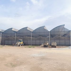 Tropical Climate Sawtooth Poly Tunnel Plastic Film Agricultural Greenhouse