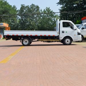 DONGFENG 4*2 Cargo Truck Freight Truck Pick up Truck