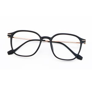 Quality Adjustable Glasses TR Frames Beta Titanium Ultra Lightweight ZTO 1009 for sale