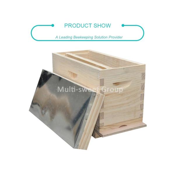 Queen Rearing 19mm Beekeeping Wooden House 5 Frames Bee Nuc Box