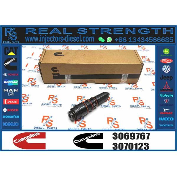 NTA855 Diesel Engine Spare Parts 3069767 Fuel Injector Assy for Construction Machinery