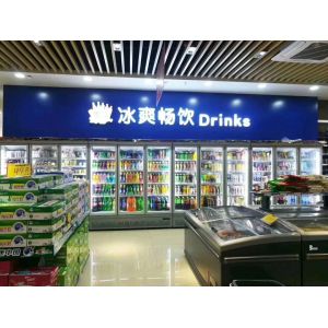Supermarket 5 Glass Doors Commercial Upright Freezer Beverage Cooler