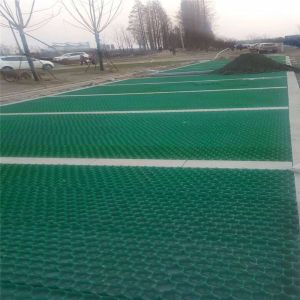 Ground Plastic Grass Grid Mats For Turf Reinforcement 160-250Ton/Sqm