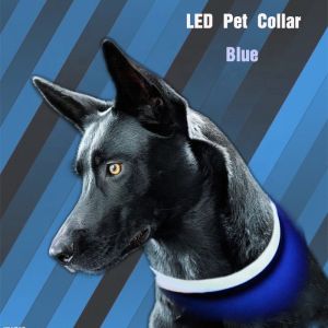 Custom USB LED Dog Collar Nylon Print Adjustable Reflective Rechargeable
