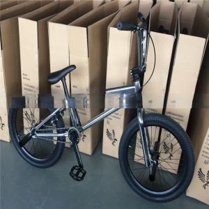 20 Inch Adult Freestyle Street Bicycle BMX Bikes for Customized Sports