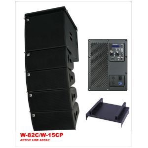 Single 10 Inch Active Line Array Speaker System Birch Plywood