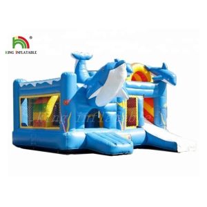Quality Ocean World Inflatable Jumping Castle With Slide Fire Retardant for sale