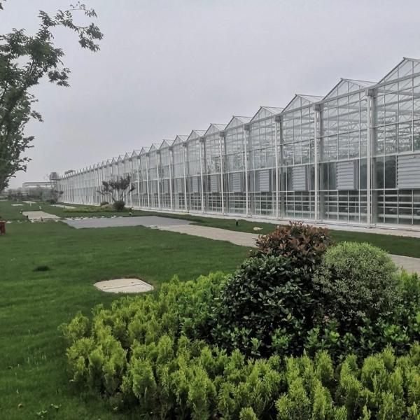 Agricultural Glass Greenhouse Retreat for Crops