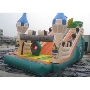 Cartoon Playground Giant Inflatable Slide Double Tripple Stitch