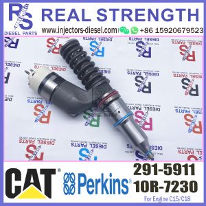 China fuel engine injection nozzle injector diesel pump injector sprayer 291-5911 for CAT engine on sale