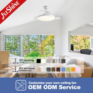 42" Invisible Blade Ceiling Fan With Light , 6 Speeds Retractable Ceiling Fan