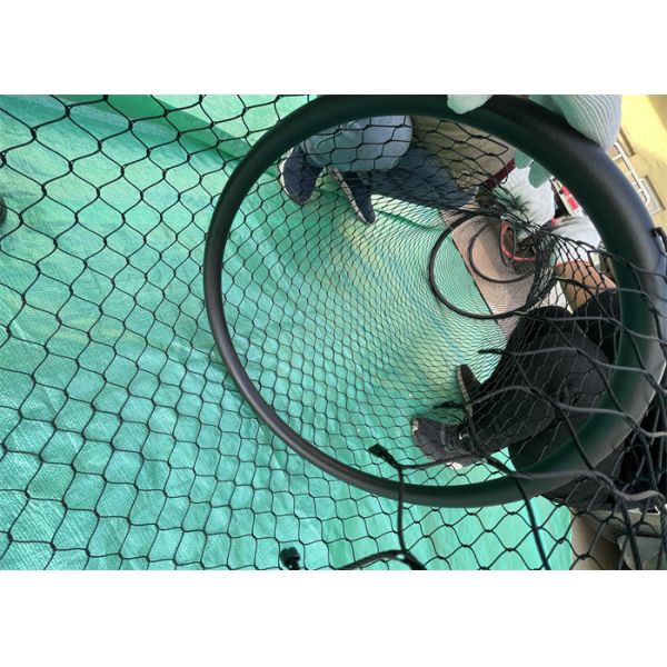 Tube Shape Wire Rope Mesh Diameter 500mm Length 25m