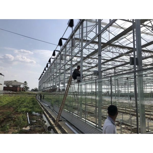 Buy Agricultural / Industrial Garden Greenhouse For Vegetables / Mushrooms / Flowers at wholesale prices