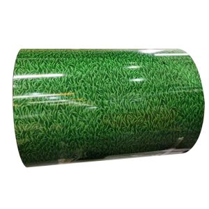 Customized PPGI Steel Coil 2000mm 2440mm Prepainted Galvanized Steel Coils