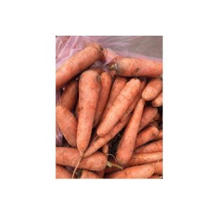 Industrial Fresh Vegetable Fruits Cleaning And Drying Processing Line Washing